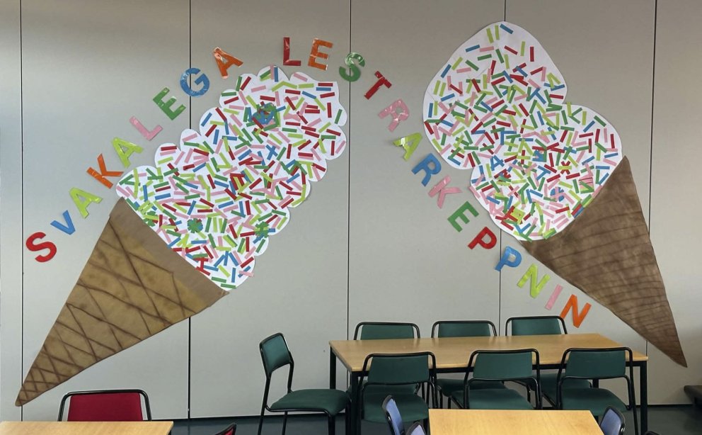 Svakalega lestrarkeppnin í Vopnafjarðarskóla! 📚🍦