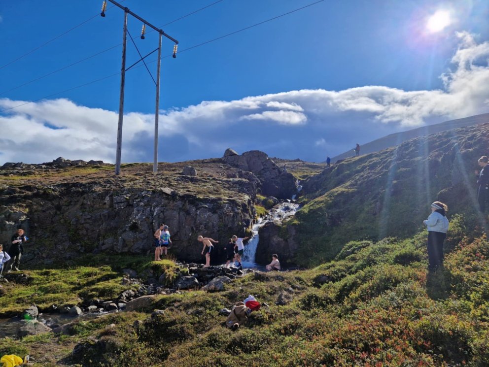 Gleðilegur berjadagur við Grjótá