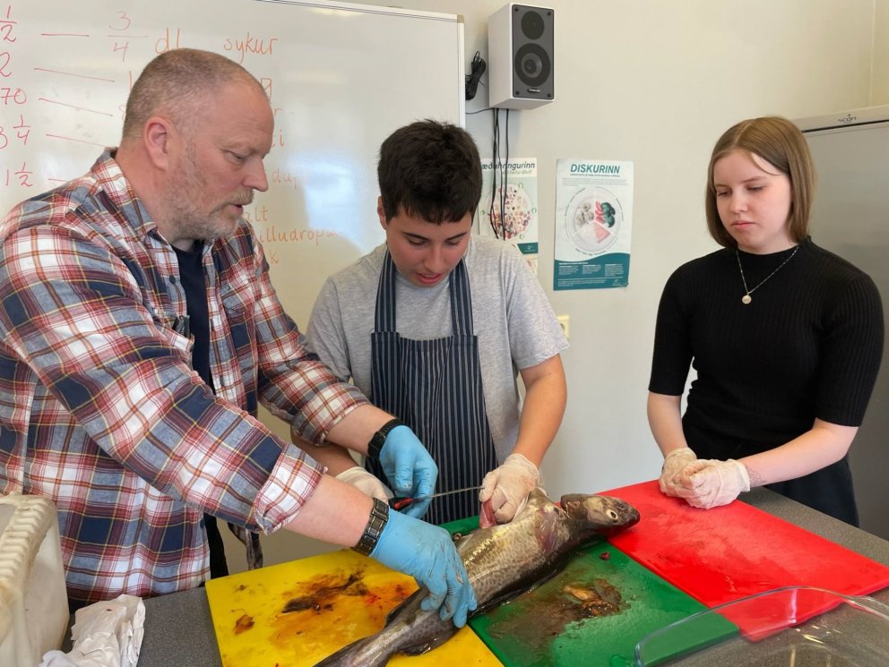 Heilsudagar Brims í skólanum