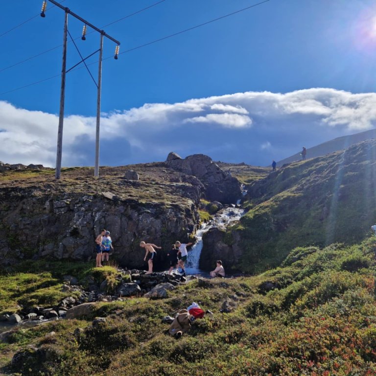 Gleðilegur berjadagur við Grjótá