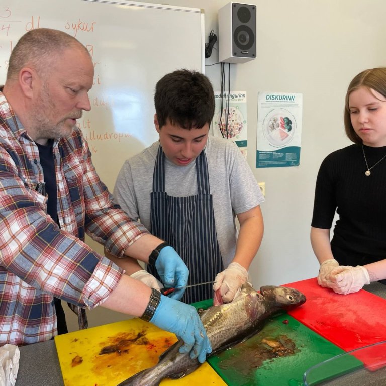 Heilsudagar Brims í skólanum